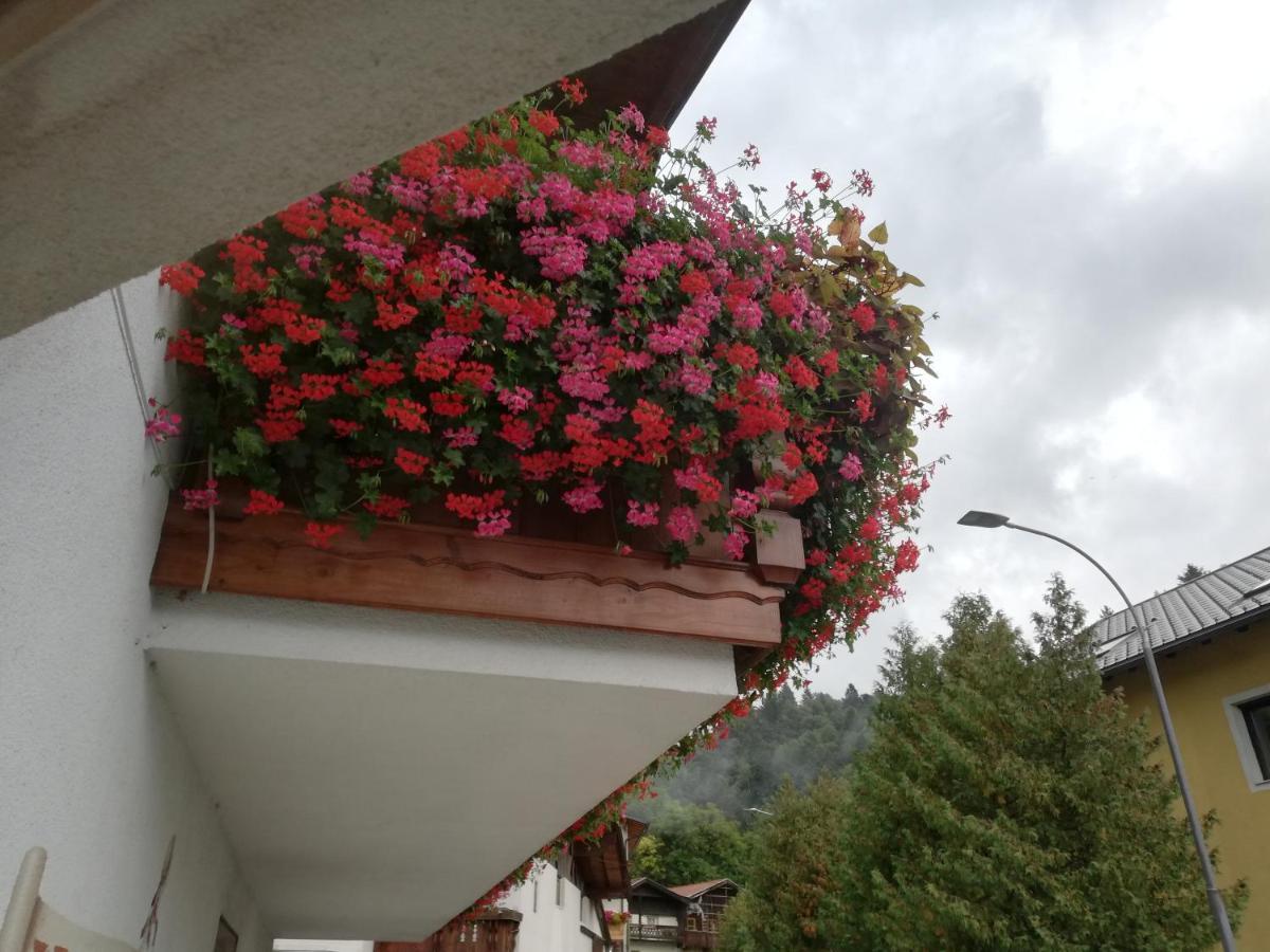 Haus Georg Homestay